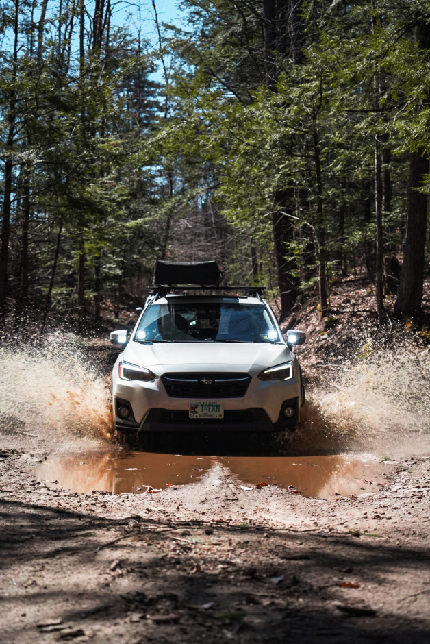 Kaden  P's 2019 Crosstrek Limited 