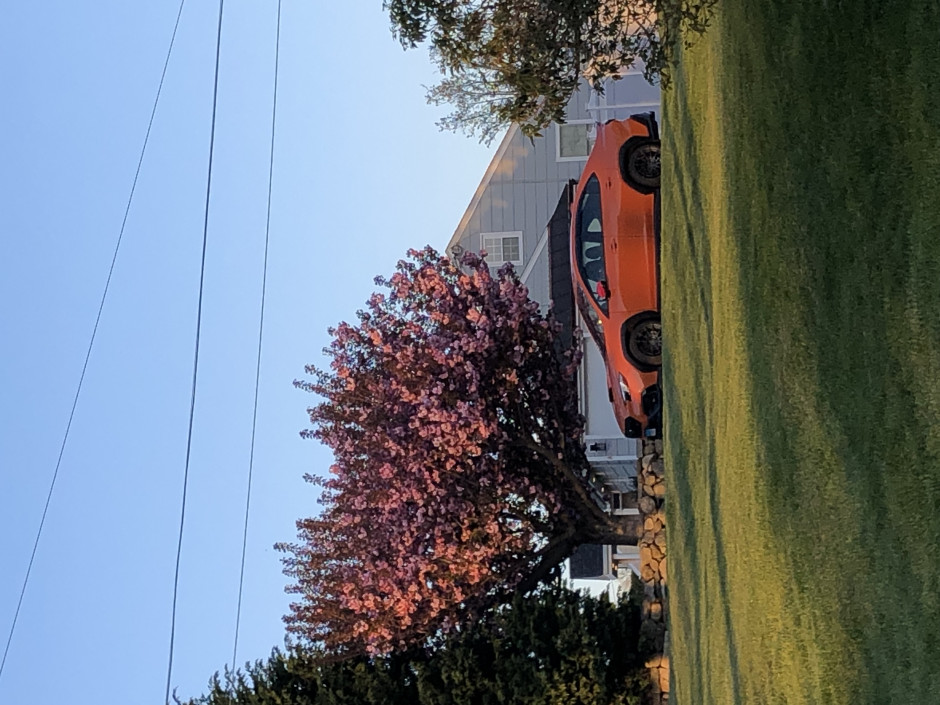 Matthew B's 2022 Impreza WRX 