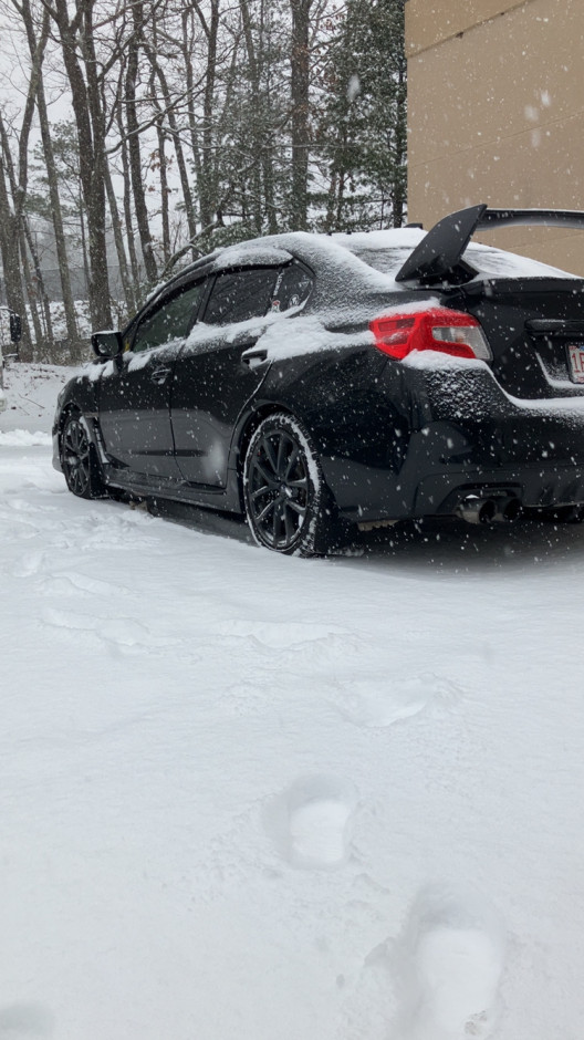 Kourtney S's 2019 WRX Premium