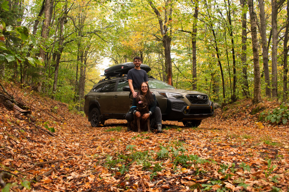 Kristina  D'Arpa's 2025 Outback Wilderness