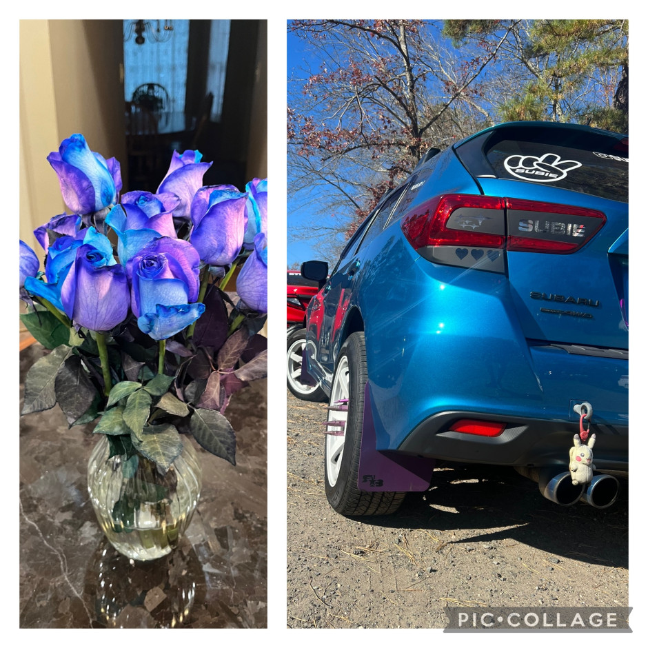 Amber  Boer 's 2017 Impreza 