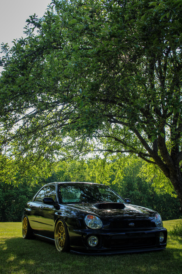 kelly downie's 2003 Impreza WRX 