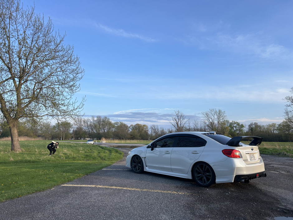 NayMyo A's 2015 Impreza WRX Base