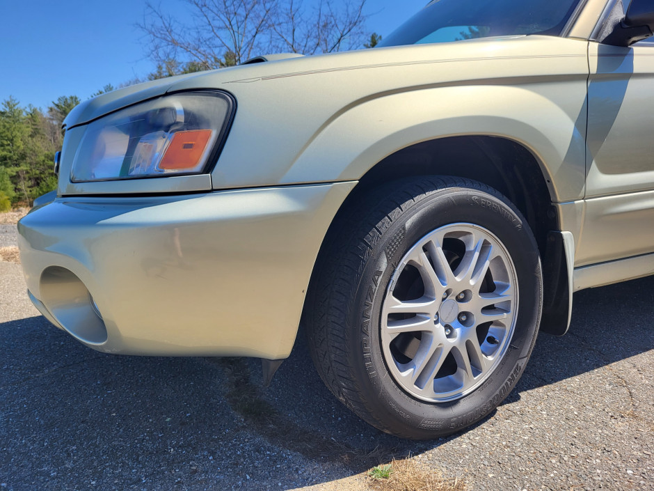 David B's 2005 Forester XT 