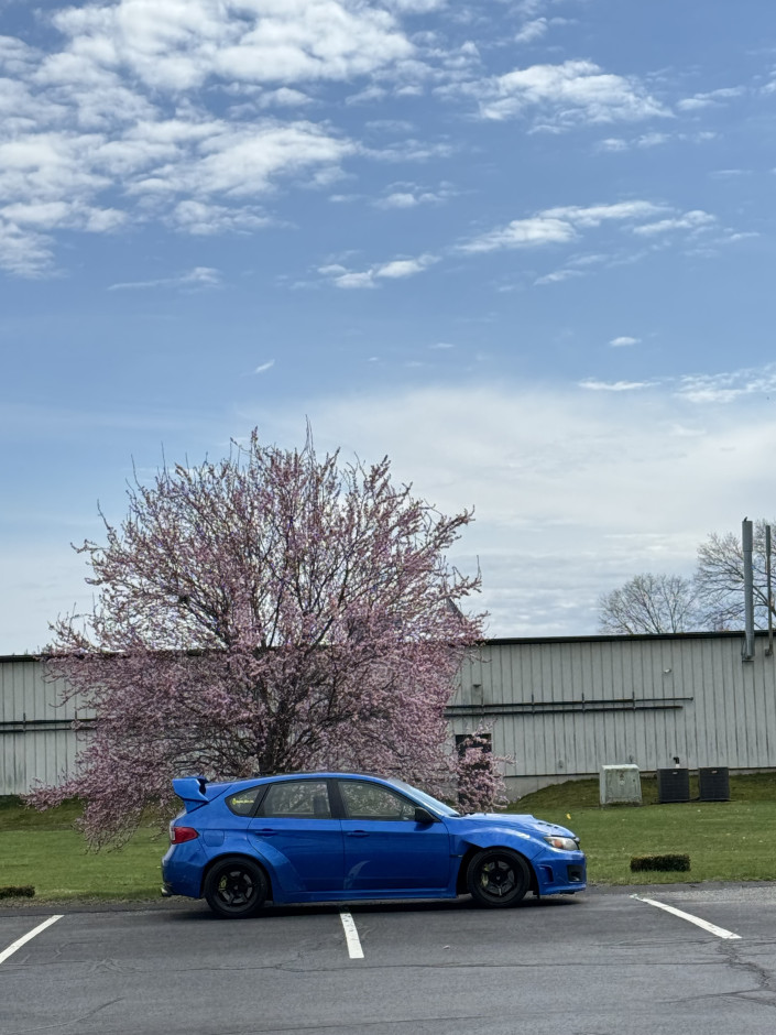 Andrew Schmeltz's 2008 Impreza WRX STI Throtl