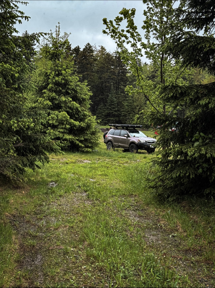 Sam Epstein 's 2015 Forester 2.5i