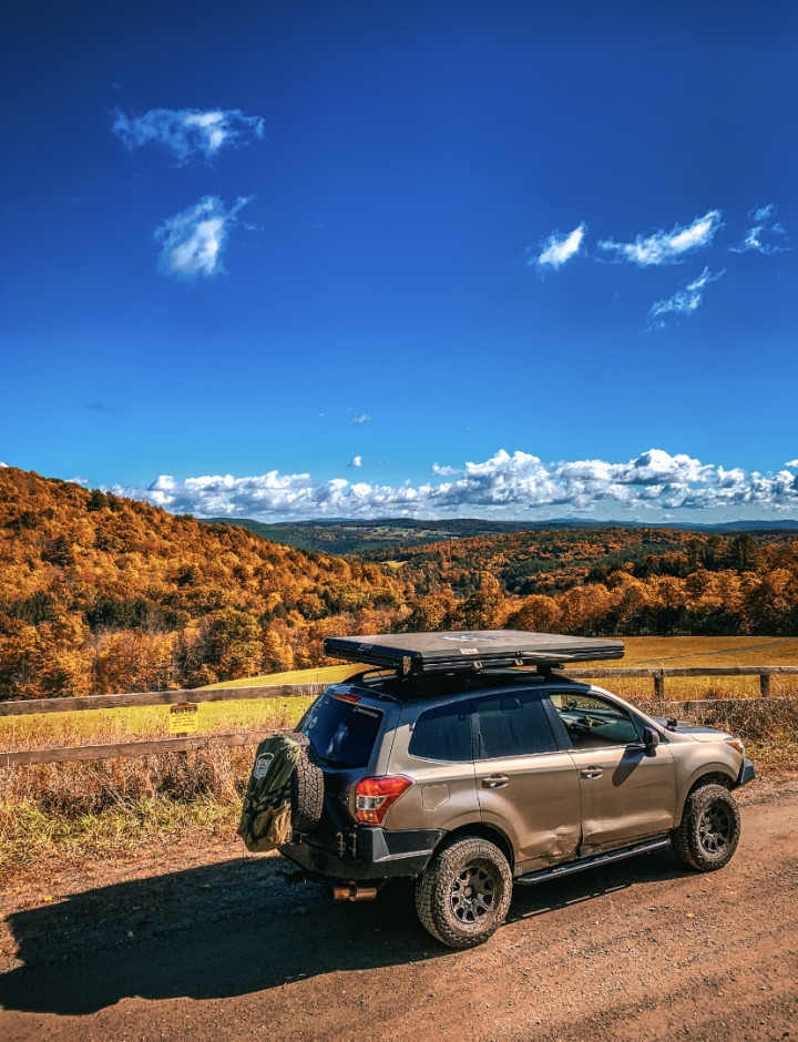 Sam Epstein 's 2015 Forester 2.5i