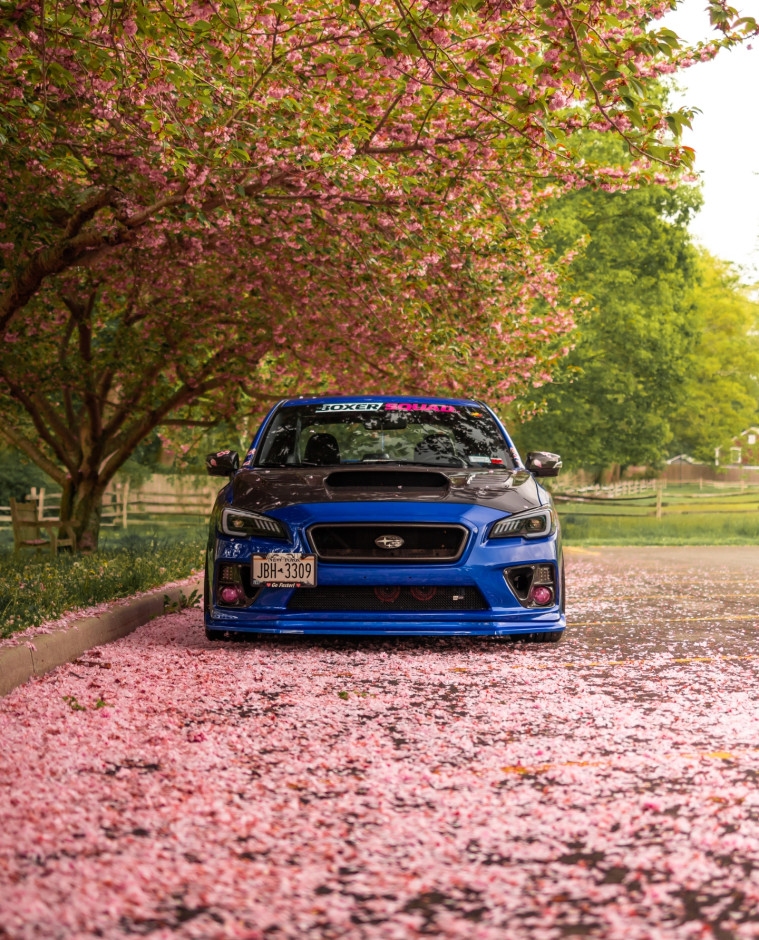 Erik Olson's 2017 Impreza WRX Limited