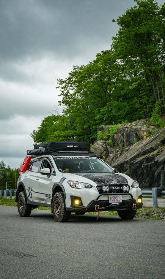 Brendan maloney's 2019 Crosstrek Premium 