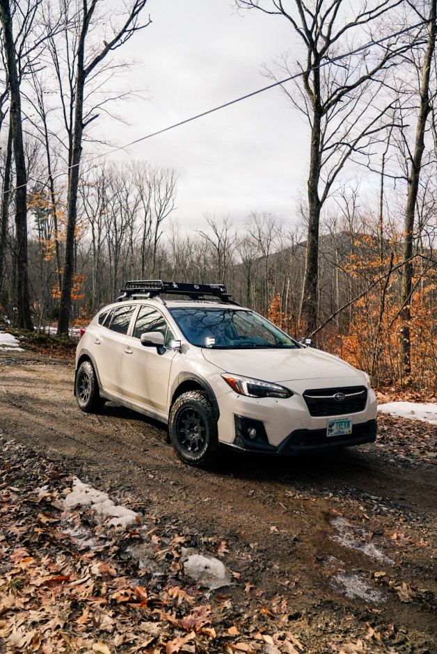 Kaden  P's 2019 Crosstrek Limited 