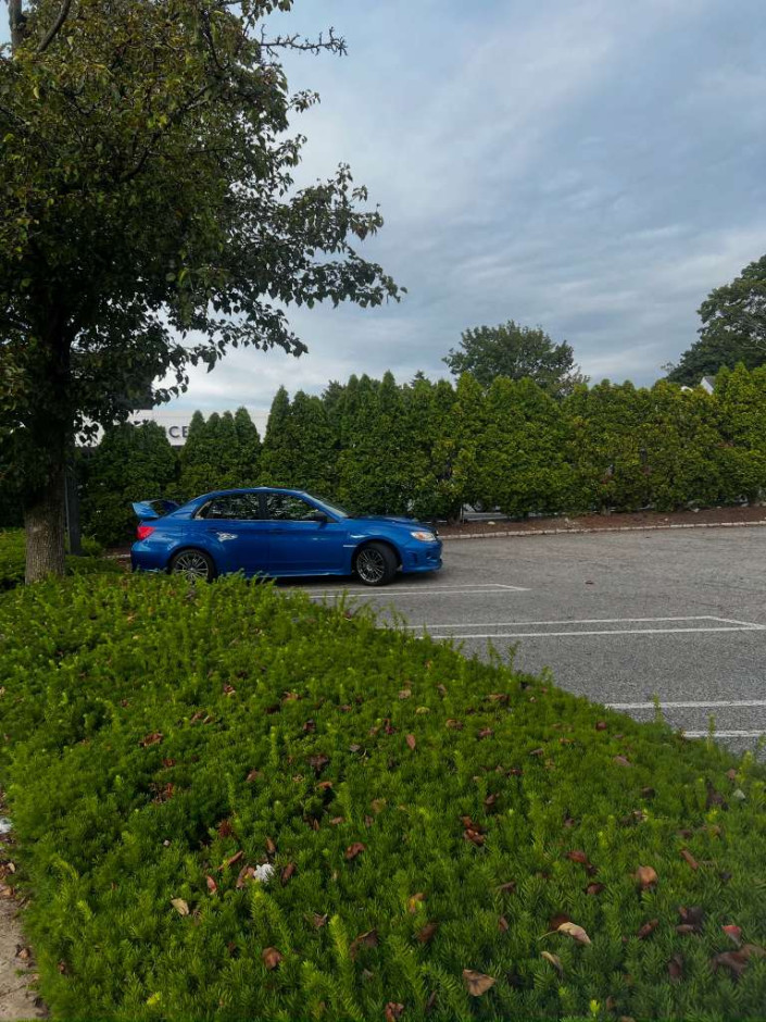 Jennifer  M's 2014 Impreza WRX Premium