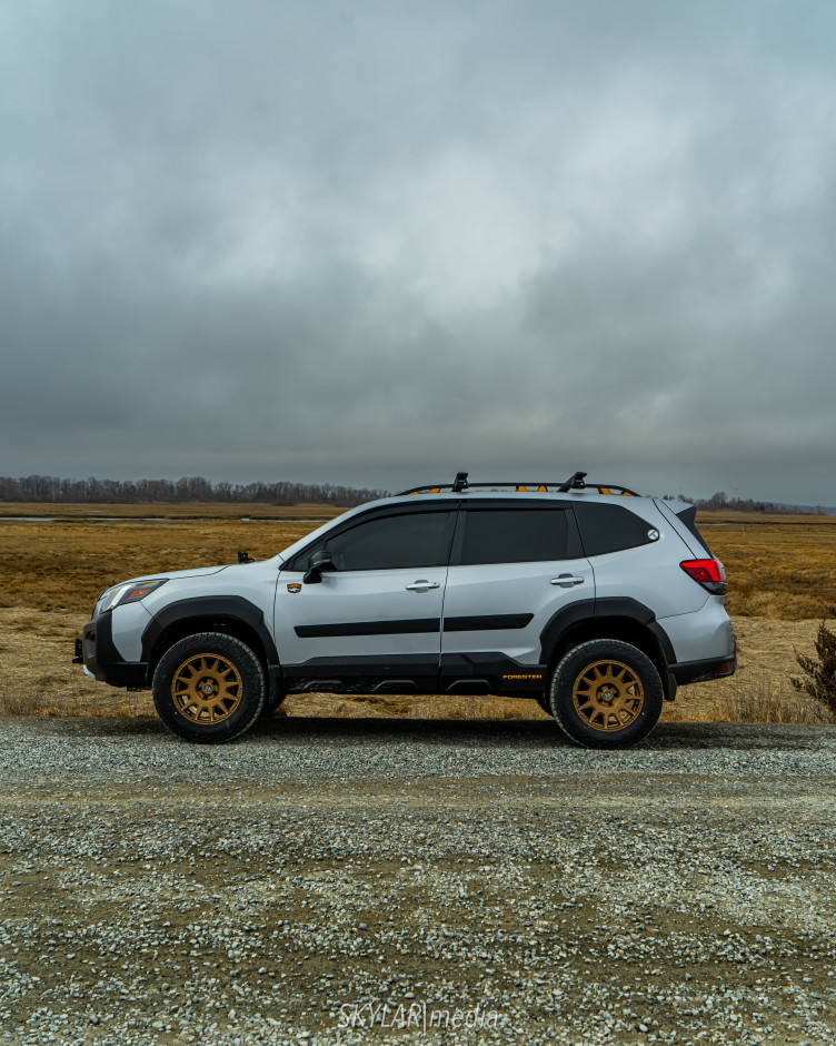 Tristan Cefail's 2023 Forester Wilderness 