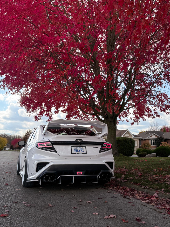 Kyle D's 2026 WRX Limited