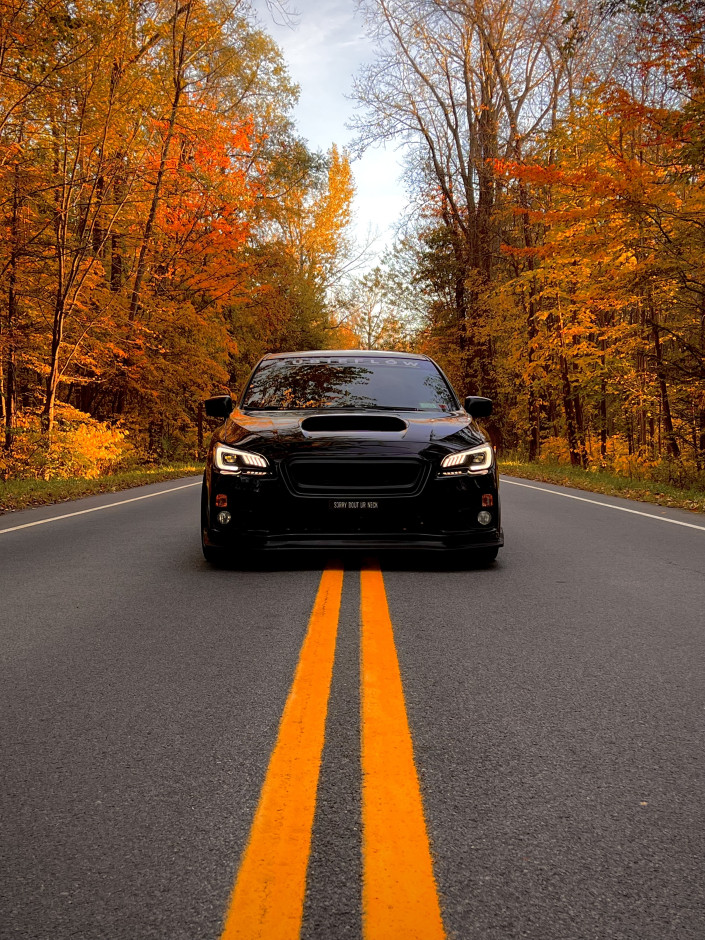 Abbie H's 2017 WRX Limited