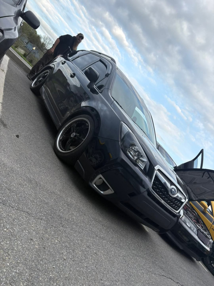 Michael N's 2014 Forester 2.0 XT