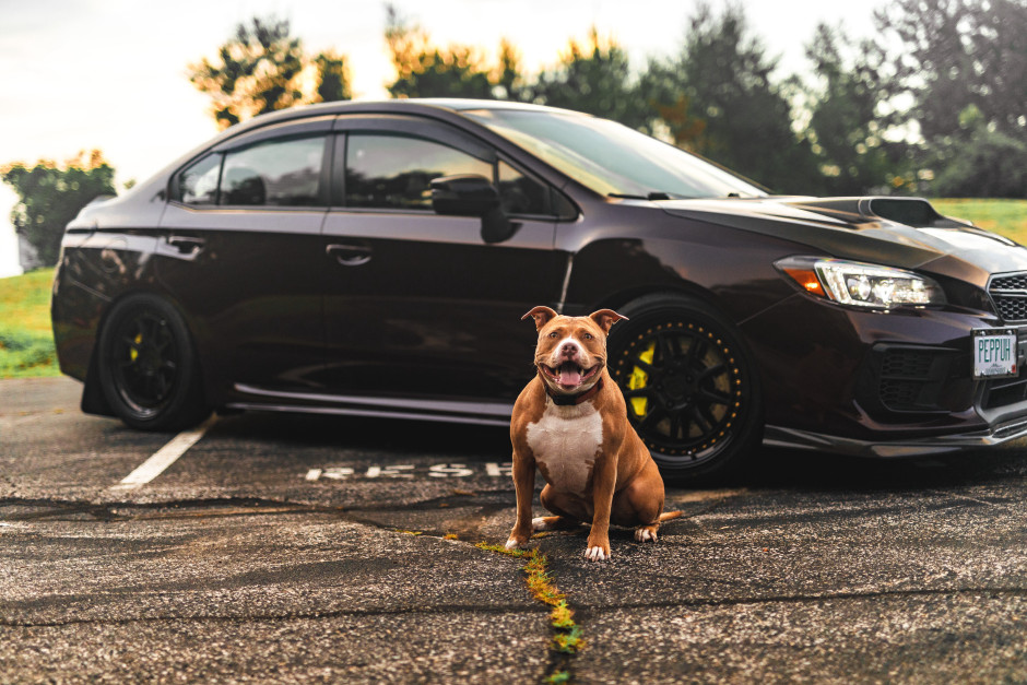 Jack S's 2020 Impreza WRX STI Limited