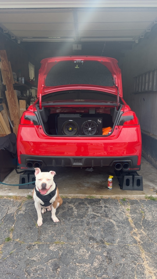 Edwin Arocho's 2019 Impreza WRX Base