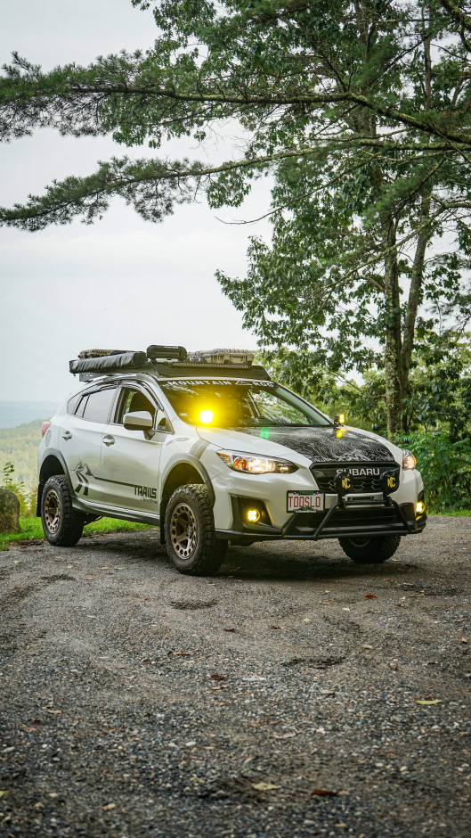 Brendan maloney's 2019 Crosstrek Premium 