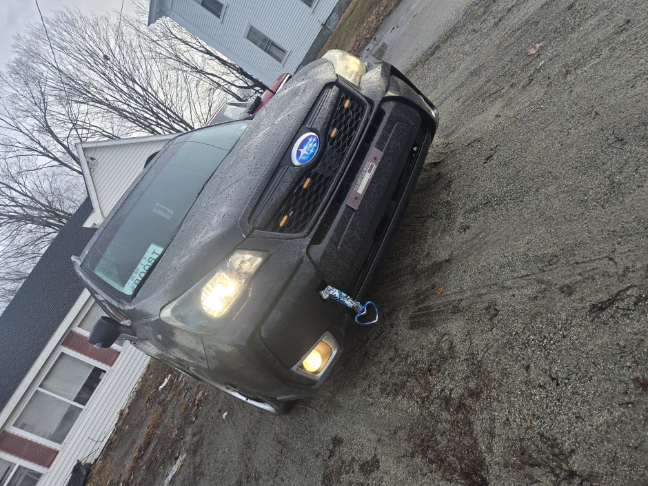 Michael N's 2014 Forester 2.0XT Premium