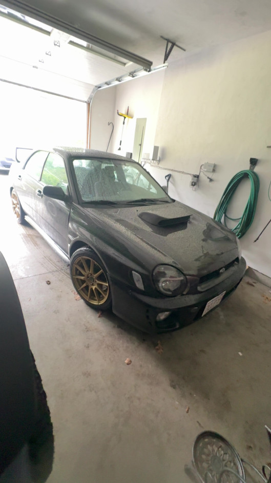 Rob L's 2003 Impreza WRX