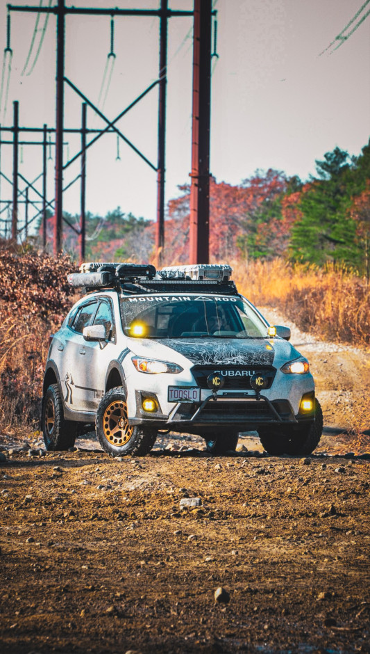 Brendan maloney's 2019 Crosstrek Premium 