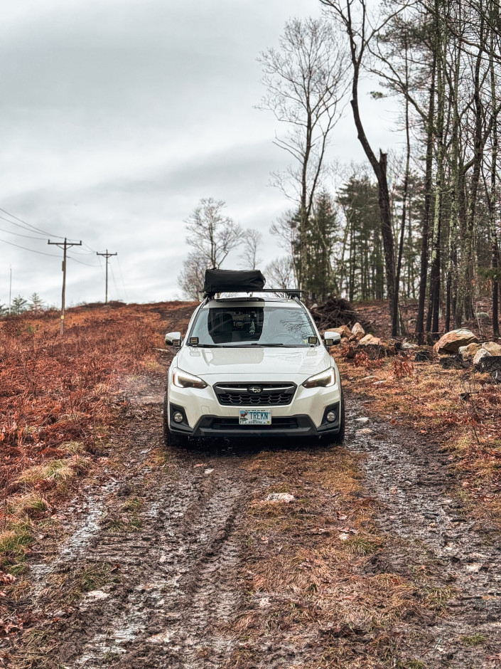 Kaden  P's 2019 Crosstrek Limited 