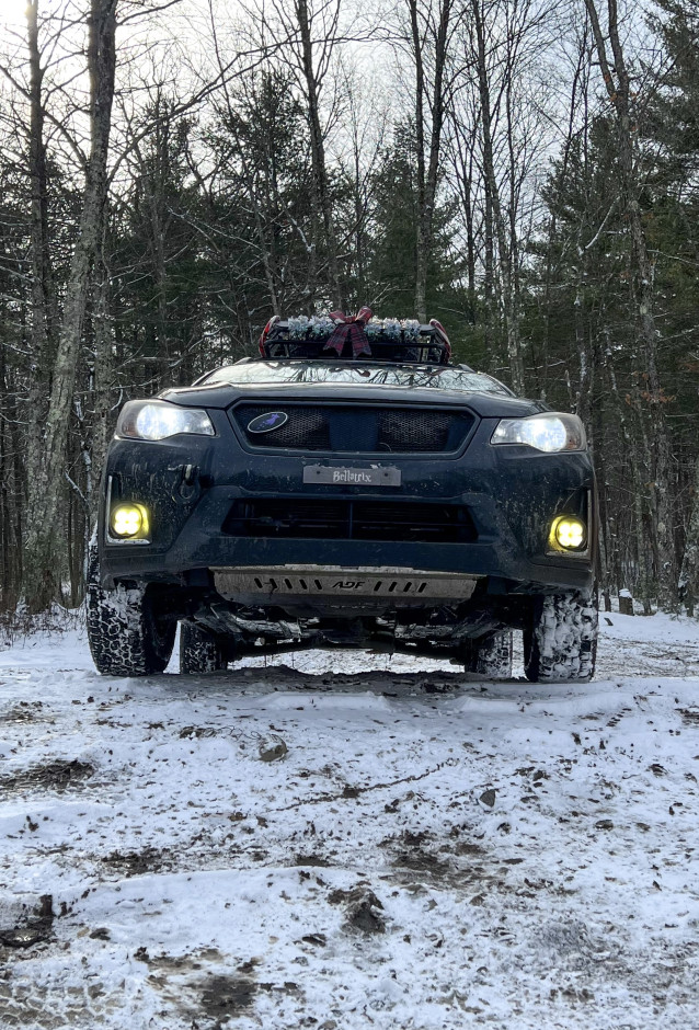Cat Tracey's 2016 Crosstrek Limited