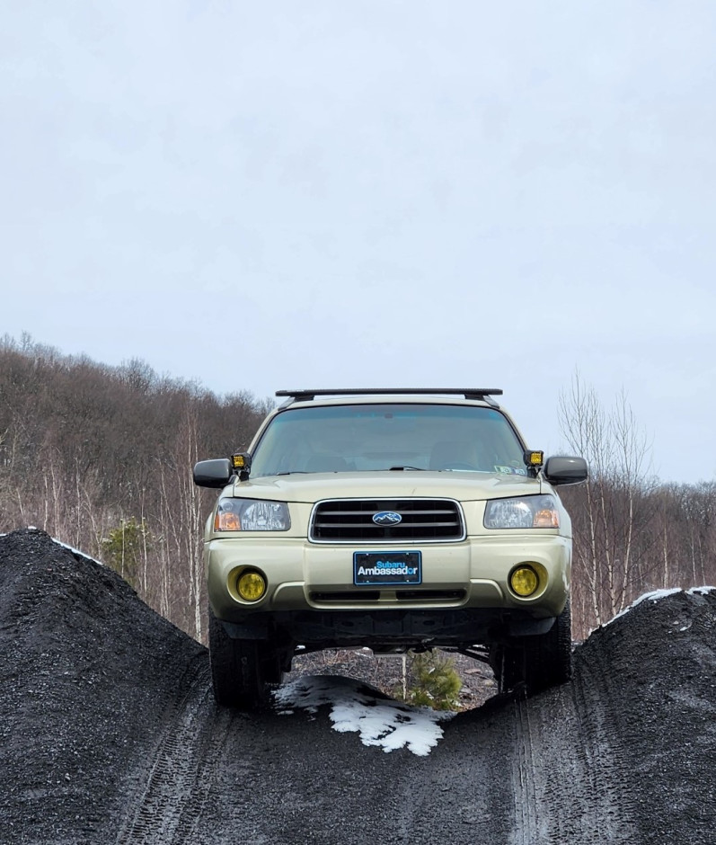 Nicholas L's 2004 Forester 2.5XS