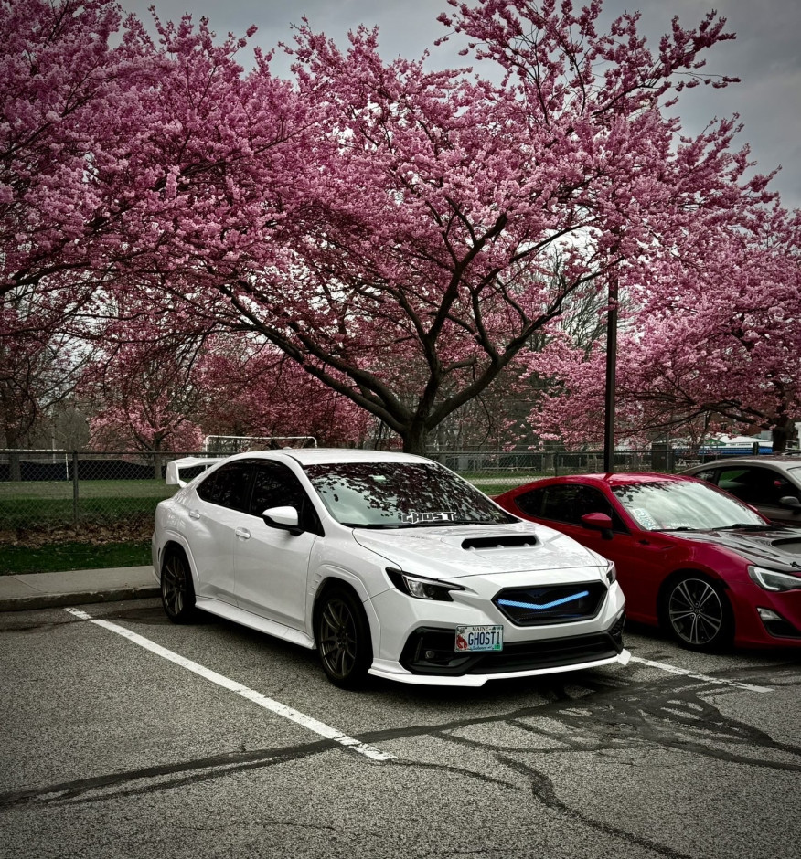 Kiana Tracey's 2023 WRX