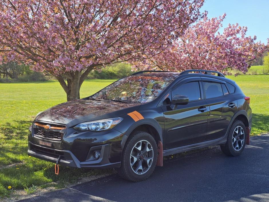 michele L's 2018 Crosstrek Premium 