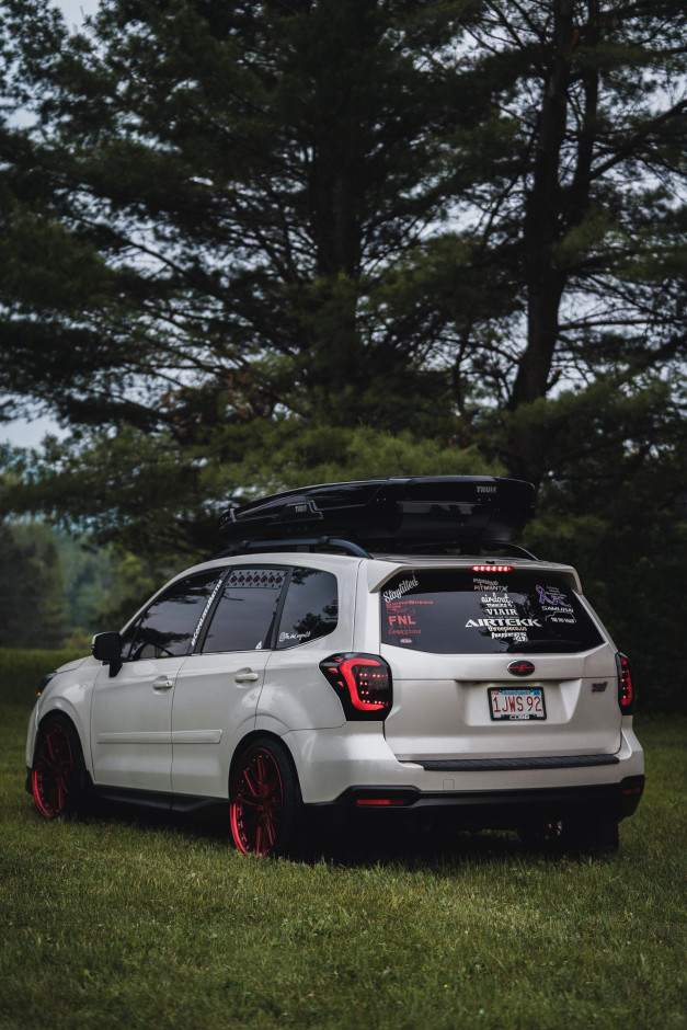 Brandon Pettit's 2014 Forester 2.0 xt touring 