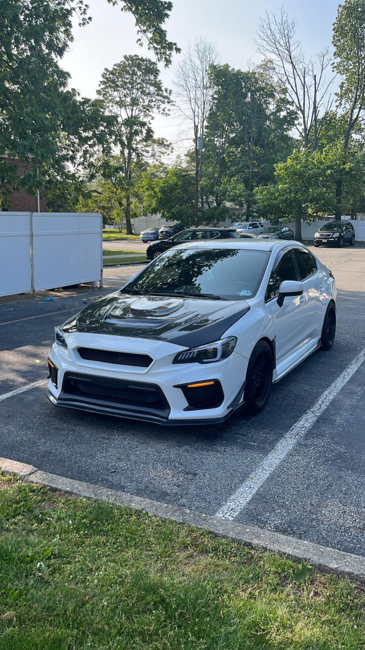 Marisa  Latinis's 2020 Impreza WRX Base