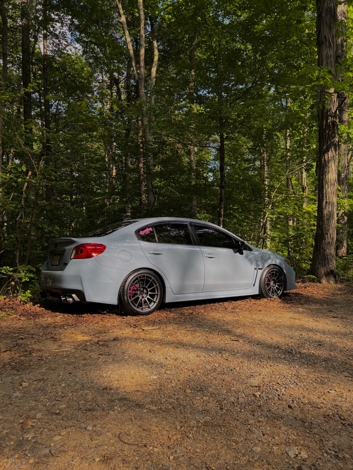 Lindsay S's 2019 Impreza WRX Premium 