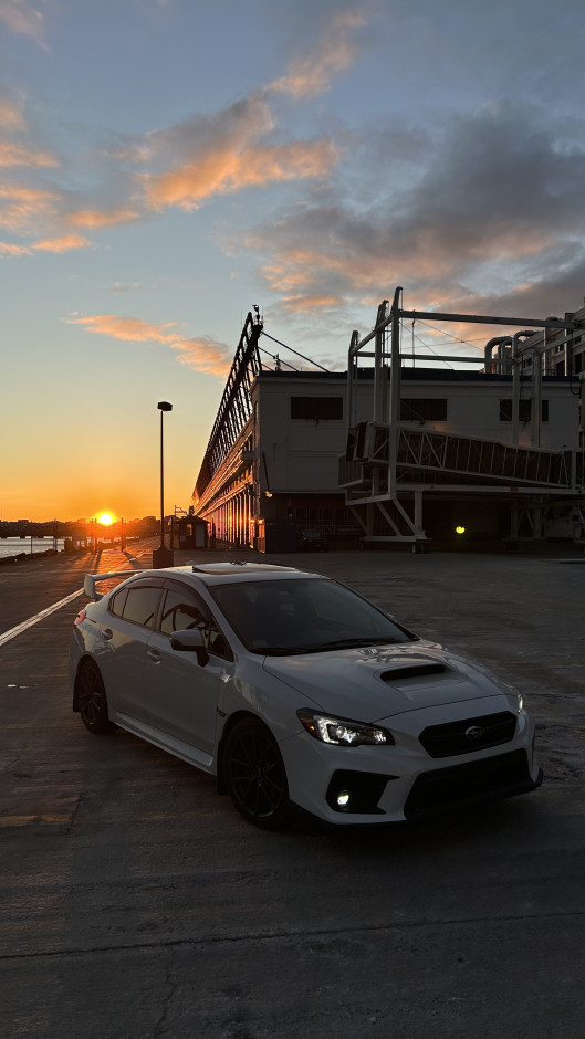 Edeina C's 2019 Impreza WRX Premium