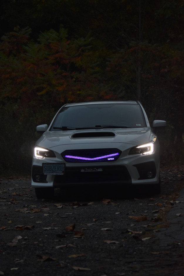 Dalton W's 2019 WRX Limited