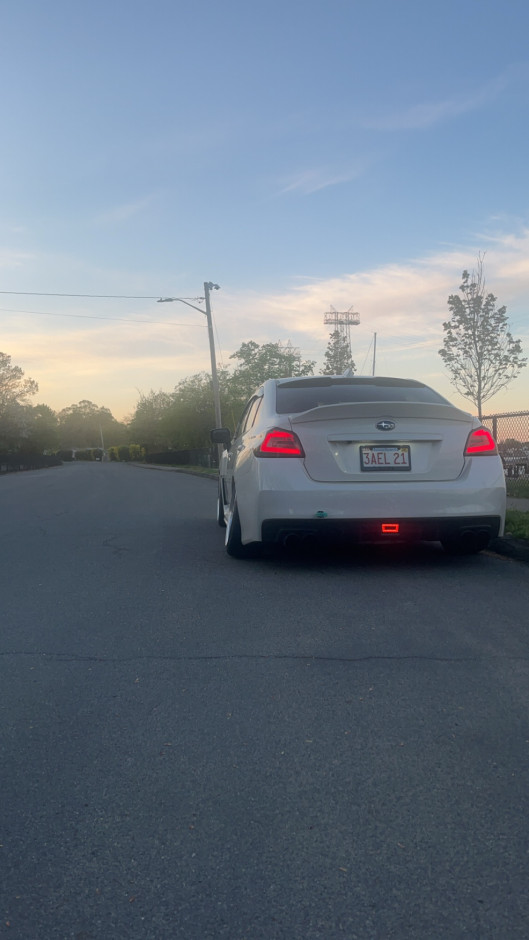 Nyssa C's 2021 Impreza WRX Premium