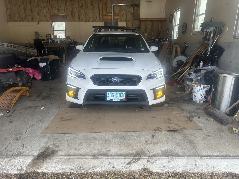 Frank tomer's 2019 Impreza WRX Base