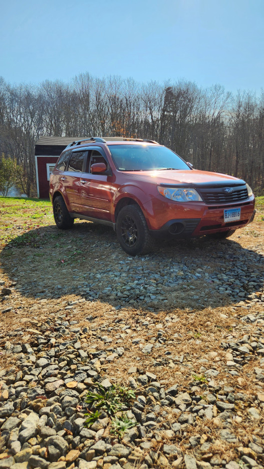 Ricky B's 2010 Forester 