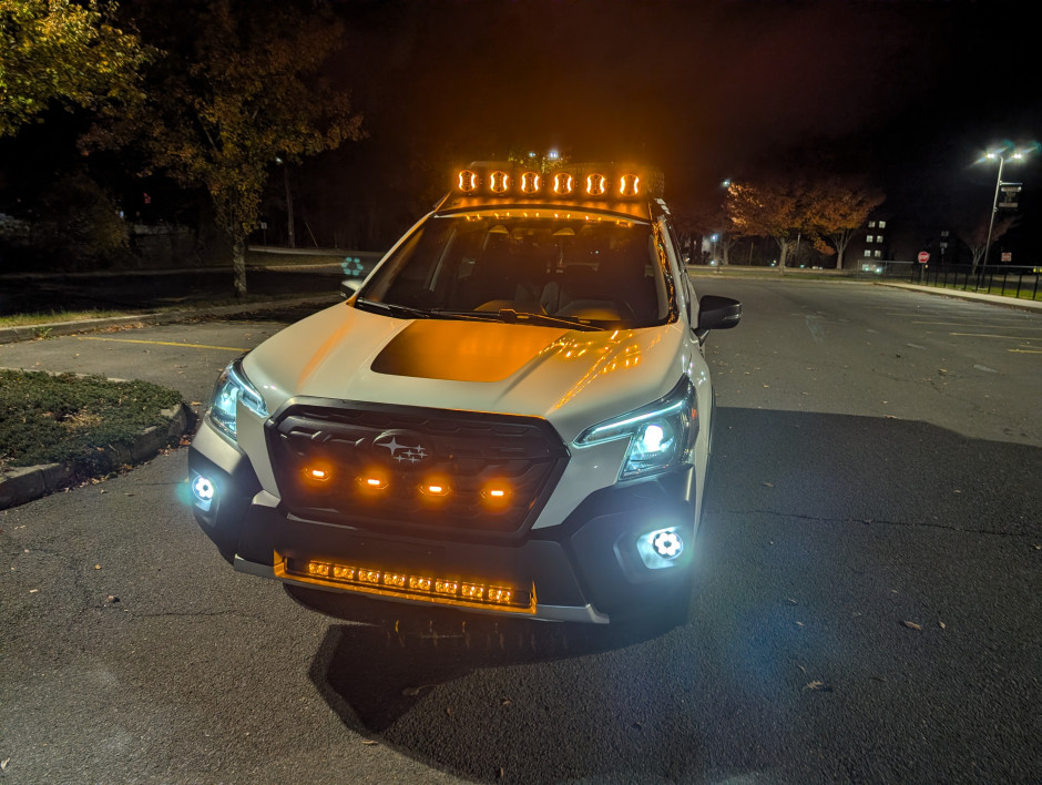 Nathan D's 2023 Forester Wilderness