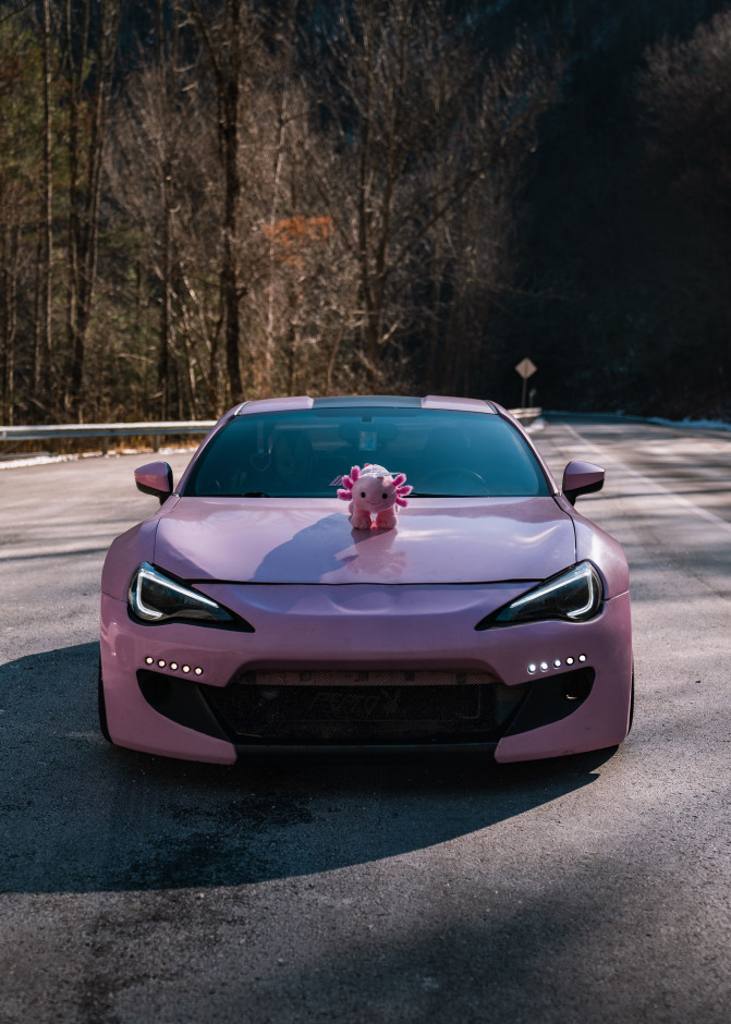 Eli P's 2013 BRZ Limited