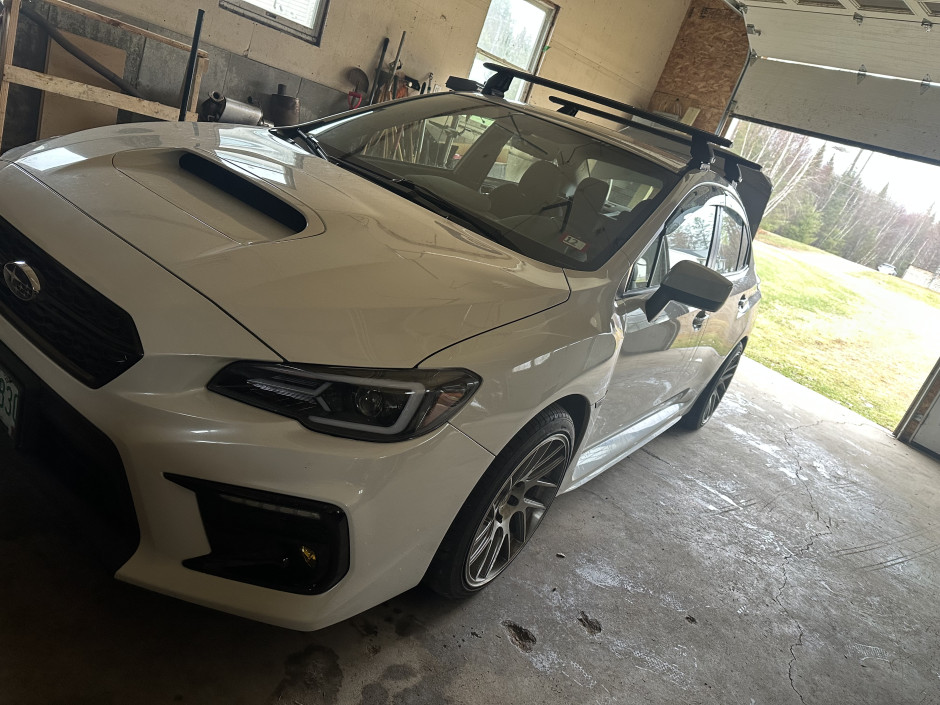 Frank tomer's 2019 Impreza WRX Base