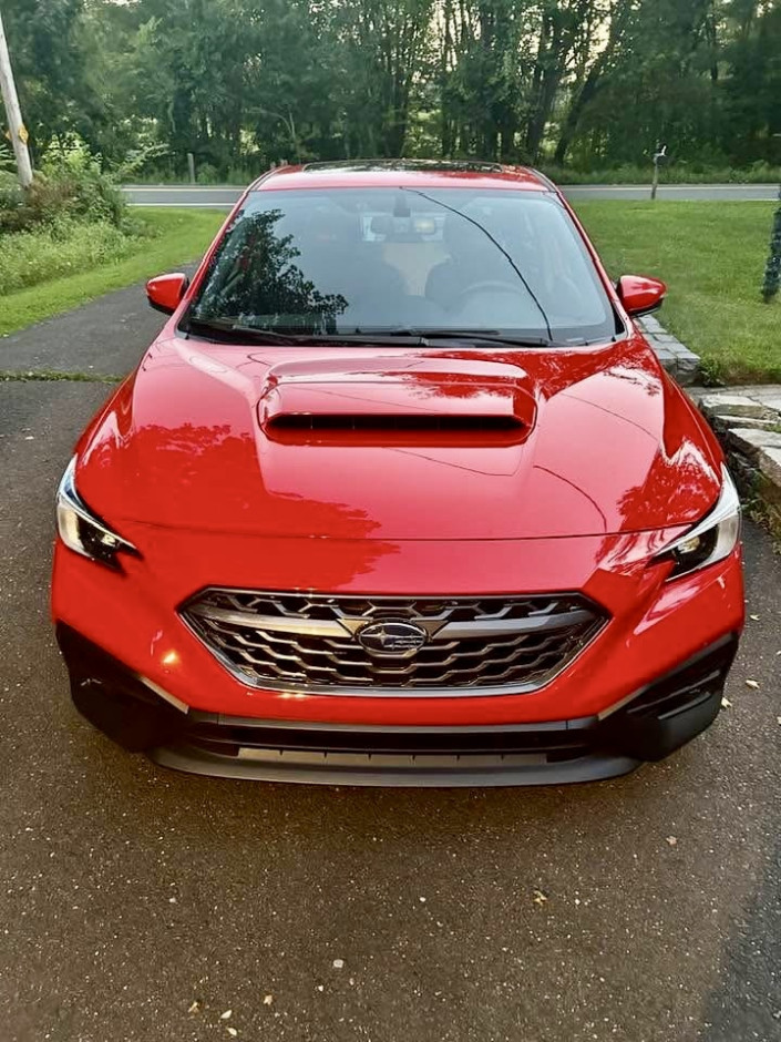 Amy L's 2023 WRX Limited