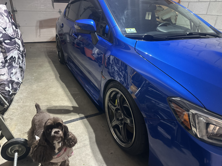 Kole  Hiser 's 2018 Impreza WRX STI Limited 