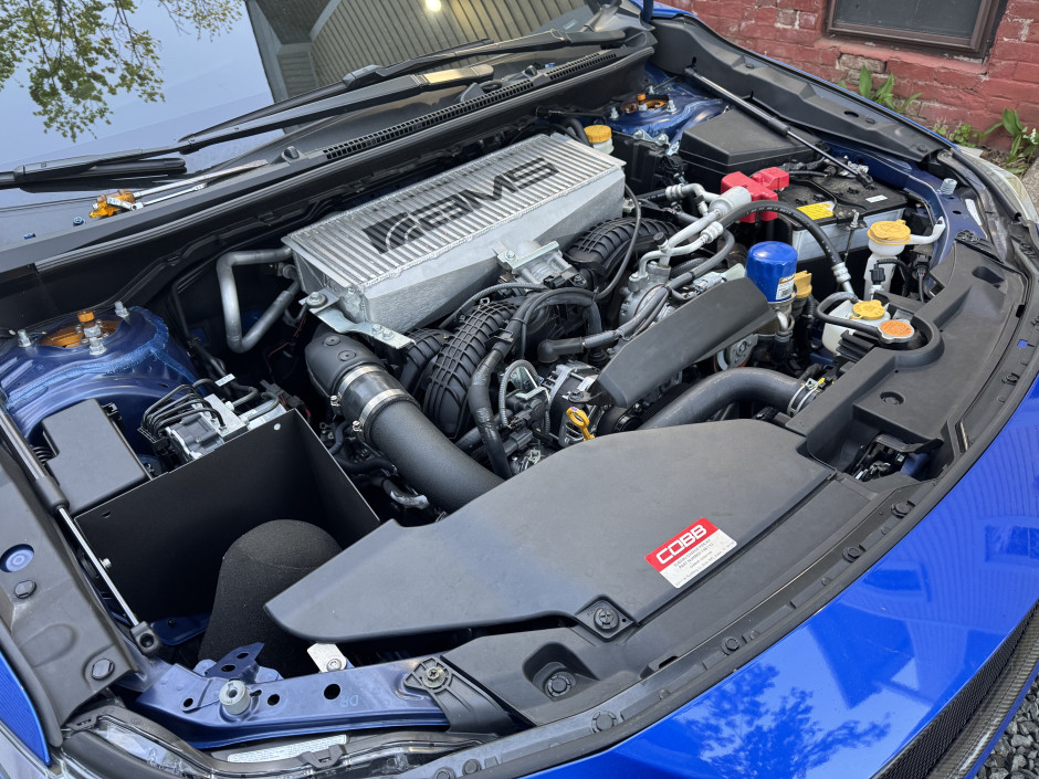 Kayla B's 2024 Impreza WRX Premium 