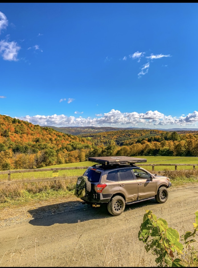 Sam Epstein 's 2015 Forester 2.5i
