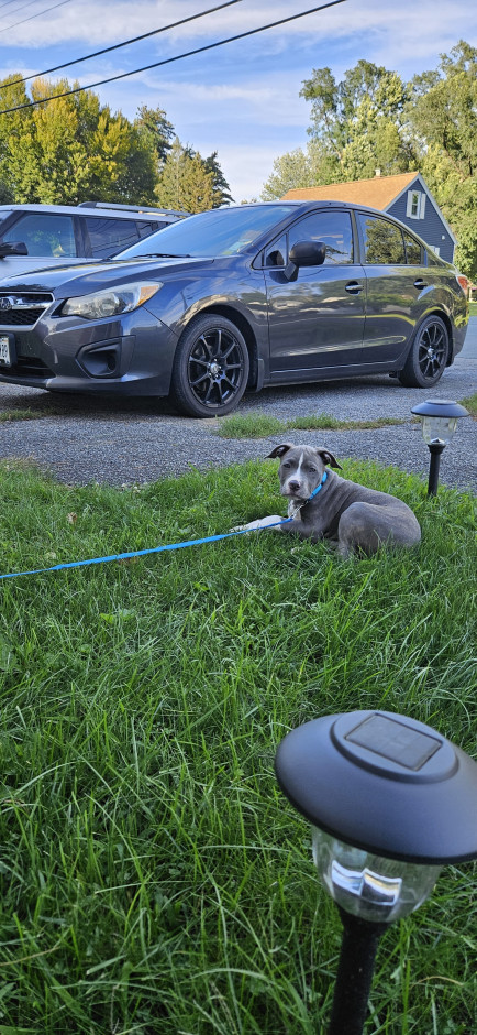 Brianna VanVranken 's 2014 Impreza Base