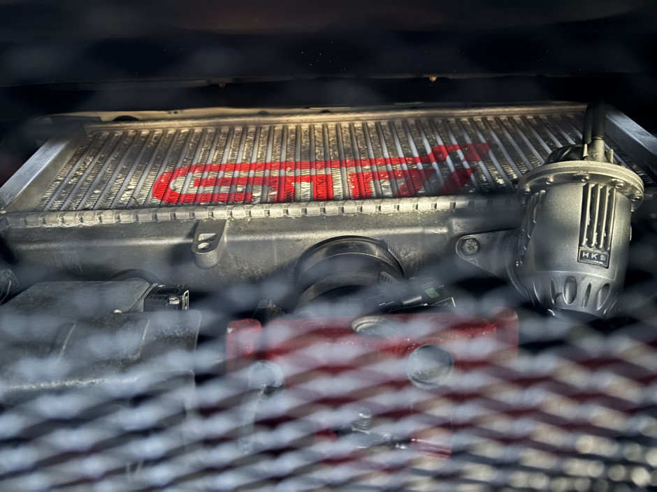 Letti D's 2017 WRX STI