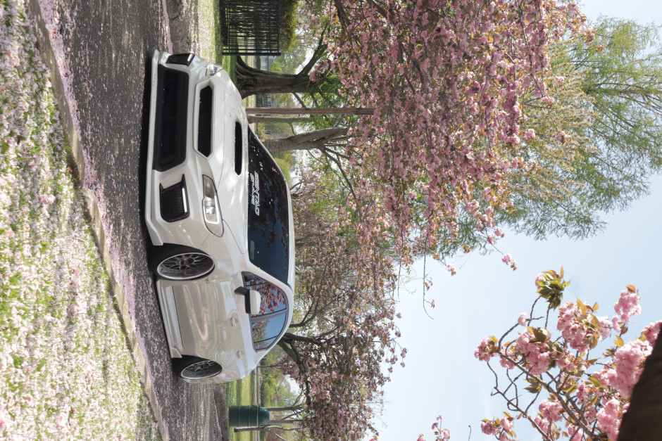 Nicholas  D's 2018 Impreza WRX Premium 
