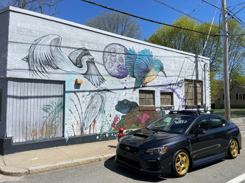 joey N's 2018 Impreza WRX STI 