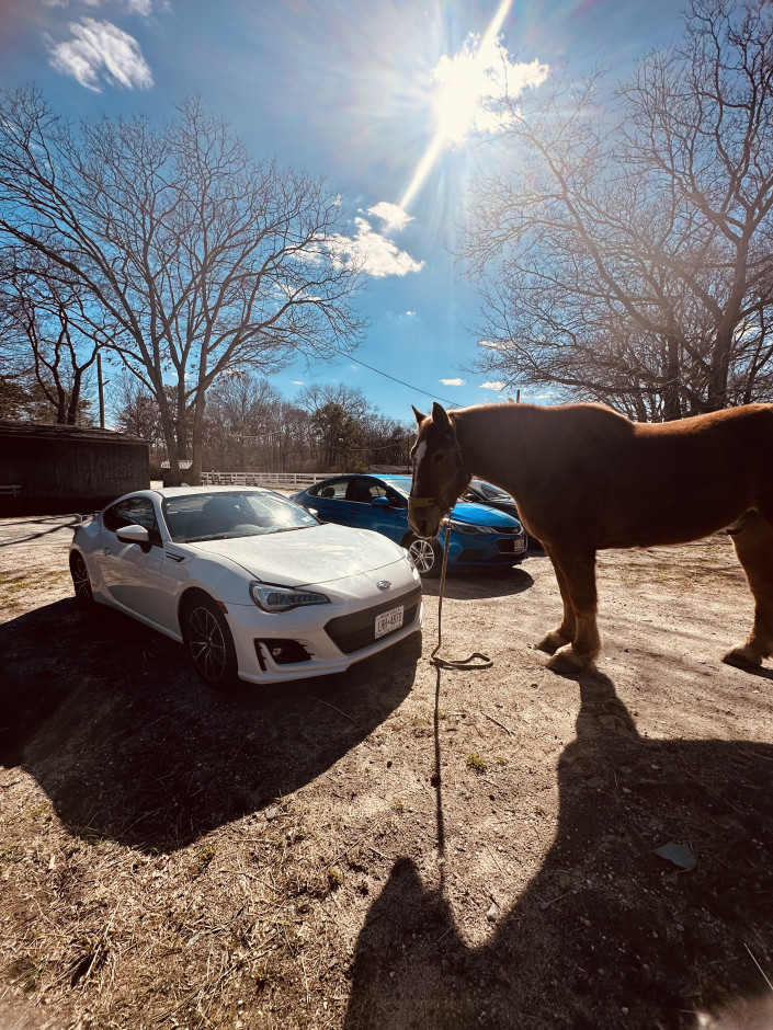 Diane D's 2017 BRZ Limited